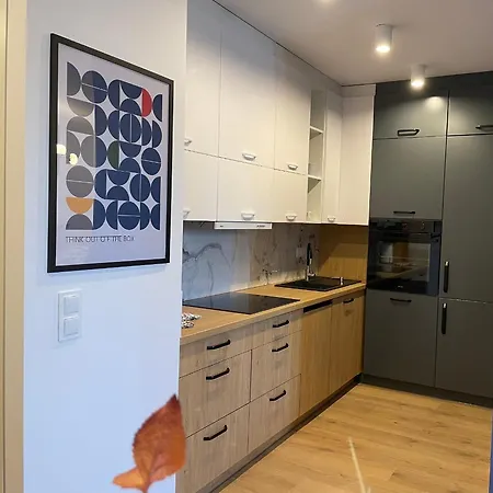 Apartament Obok Starowki - Nowka Sztuka! Appartement